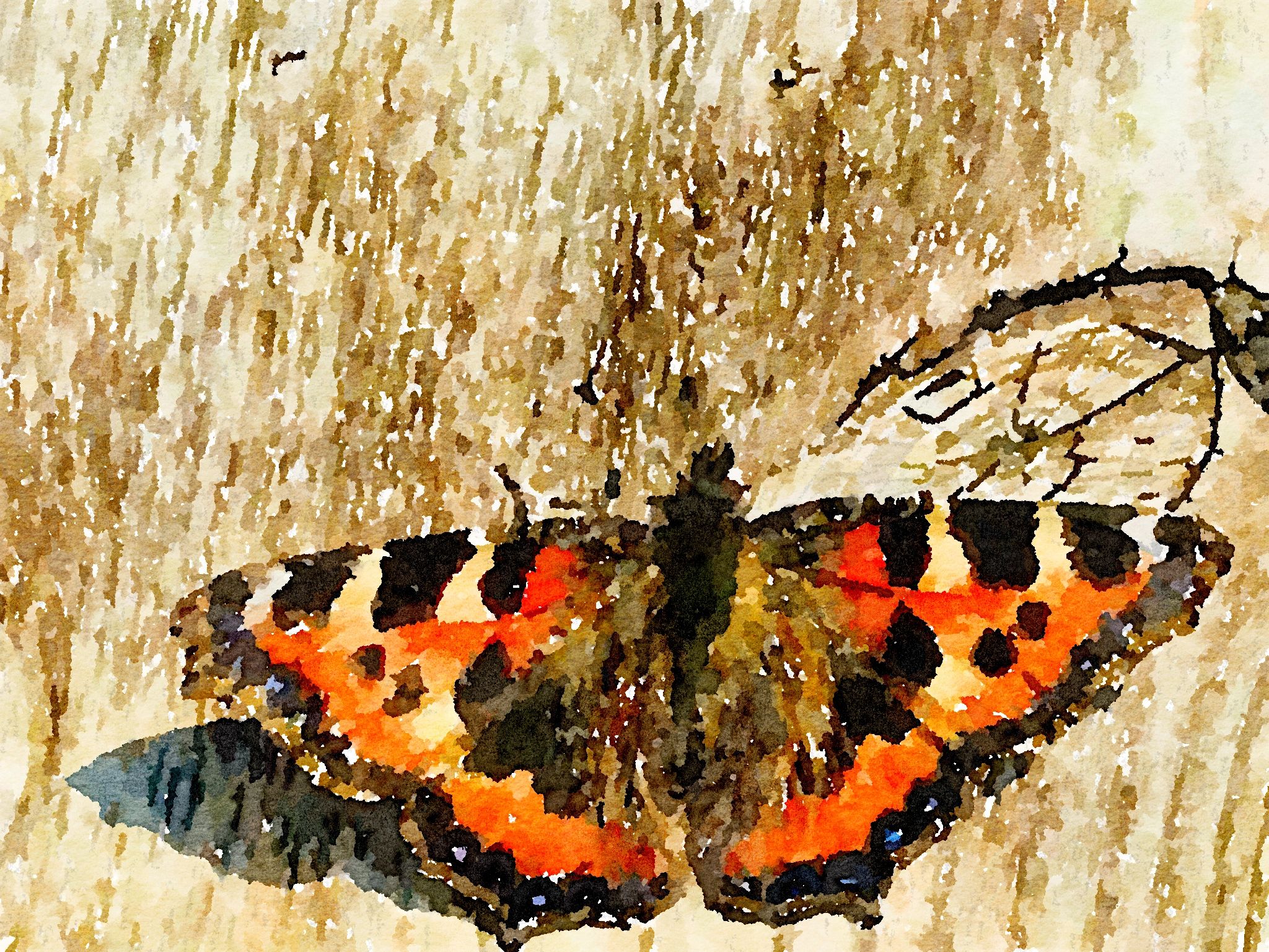 Watercolor butterfly artwork detail